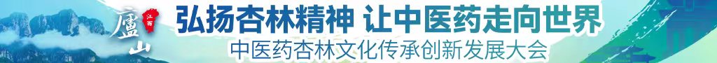 插淫水啊在线播放中医药杏林文化传承创新发展大会